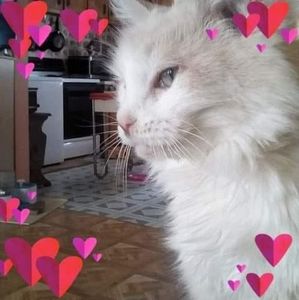 Meet your Posher, Lori